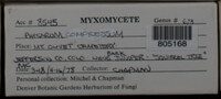 Image Associated With the Occurence